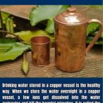 Canning Pumpkin Butter