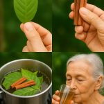 Drink This for 4 Days and Feel the Health Boost – Naturally Detox and Improve Fertility