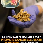 Garlic, Honey, and Cloves – a powerful natural remedy packed with health benefits