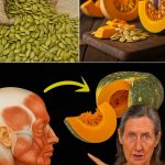 Tradescantia zebrina: The Colorful Healer Hidden in Plain Sight