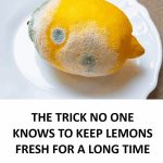 These common myths might surprise you — and the facts could change the way you eat