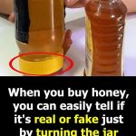 Lox Vs. Smoked Salmon: What’s The Difference Between Them?