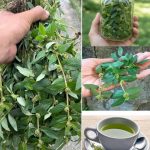 The Hidden Stories of Vintage Thread Bobbins