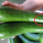 The Ancient Jar Secret: Cloves, Garlic & Honey — A Power Combo Passed Down for Generations!