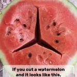 The Hidden Meaning Behind Sleeping Positions: What They Reveal About Your Relationship