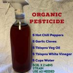 When receiving the ashes of a deceased person, you should know this