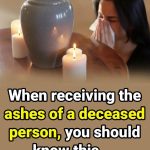 DIY Organic Pesticide