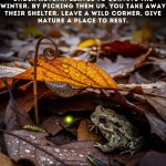 When receiving the ashes of a deceased person, you should know this