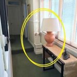 When this insect lands on you, BE CAREFUL. Here’s what the Universe is trying to tell you