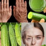 Say goodbye to ants, cockroaches, bed bugs & mosquitoes