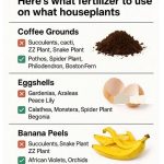 Today I Learned That the Laundry Box on the Washing Machine Is Used Like This — No Wonder the Clothes Are Not Clean Enough!