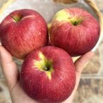 How Many Holes You See in This Cupcake Determines if You’re a Narcissist