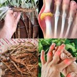 The Number Of Triangles You See Determines If You’re A Narcissist