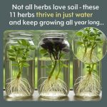 With just this one leaf it will help you not to suffer …