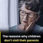 Single Ingredient for People with Obesity: Benefits and Usage