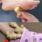 The Greatest Fear Children Have When Visiting Their Parents