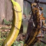 How To Put A Delicious Spin On Grilled Cheese