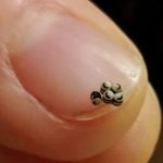 Cracker Barrel Meatloaf