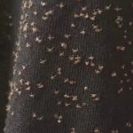 What Happens to Your Body if You Eat Purslane Every Day