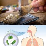 Science Is Finally Exploring What Humans Have Felt for Centuries: Walking Barefoot on Natural Ground May Truly Boost Your Health