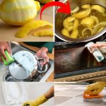 Natural Relief for Toothaches and Oral Health