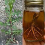 I discovered something interesting today.