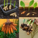 How to make a Santa Claus out of paper: the right and easy way