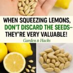 The whole internet collaborated and couldn’t find what this is. I’m not sure what this is, ninety percent of people don’t know too…