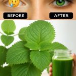 The Number Of Triangles You See Determines If You’re A Narcissist