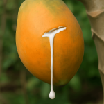 What It Really Means When Someone Helps the Server Clear the Table, According to Psychologists