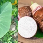 What It Really Means When Someone Helps the Server Clear the Table, According to Psychologists