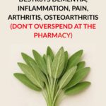 The Amazing Health Benefits of Dried Figs – Nature’s Sweet Medicine