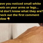 12 Herbs you Can Grow With Just Water all Year Round