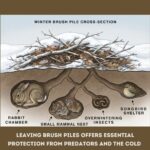 What is Water Roux and How To Use The Japanese Bread-Making Technique