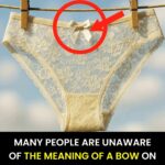 How to Use Bay Leaves: 3 Ways to Use These Leaves to Their Full Potential