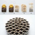 The Secret to Perfect Lavender: Stop the “Woody Leggy” Look