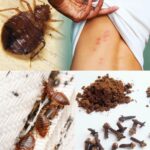 The Truth Behind Those Pale Patches on Underwear