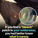 How to Use Cloves Against Bedbugs: A Practical, Step-by-Step Guide