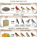 The Remarkable Power of Garlic for Foot Health: Benefits and Homemade Uses