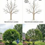 Early Signs You Might Have Been Bitten by a Dangerous Insect