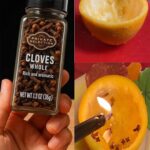 One of Baba Vanga’s chilling 2026 predictions may have come true early