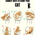 How Do You Remove Stains