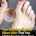 Common Myths About the Safety of Kissing or Touching the Deceased