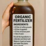 Squirrels Are Working Overtime in Winter