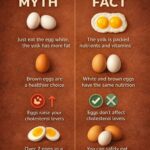 DIY Organic Fertilizer (Zero-Cost & Natural)