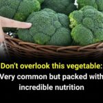 The Healing Power of Sage: The Herb That Cleanses the Body and the Mind