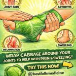 What Are the Benefits of Eating Avocado for Older Adults?