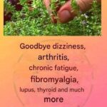 I Found This Blue Disk in a Sour Cream Chip Bag… There Was Writing on It 