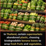 Cremation and Faith: What Scripture Says and What Truly Matters After D3ath