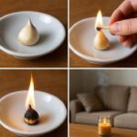 Pistachios Know When They’re Ready